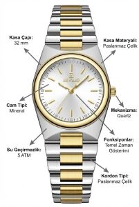 Reward Kadın Kol Saati | 32 mm Çelik Kasa, Çift Renk Çelik Kordon, Mineral Cam