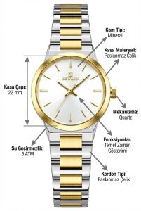 Reward Gümüş & Altın Renk Kadın Kol Saati | 22 mm Çelik Kasa, Çift Renk Çelik Kordon, Şık Tasarım