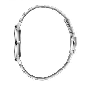 Slazenger 41mm Klasik Erkek Kol Saati | Gümüş Renk Çelik Kordon, Takvimli, 10ATM