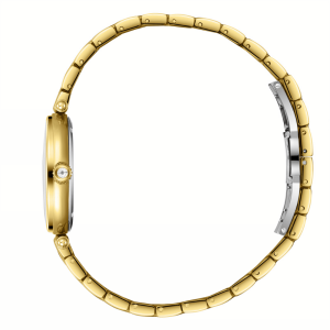 Essence Klasik Kadın Kol Saati | 22 mm Çelik Kasa, Gold Çelik Kordon, Beyaz Kadran